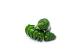 Jalapeno Peppers