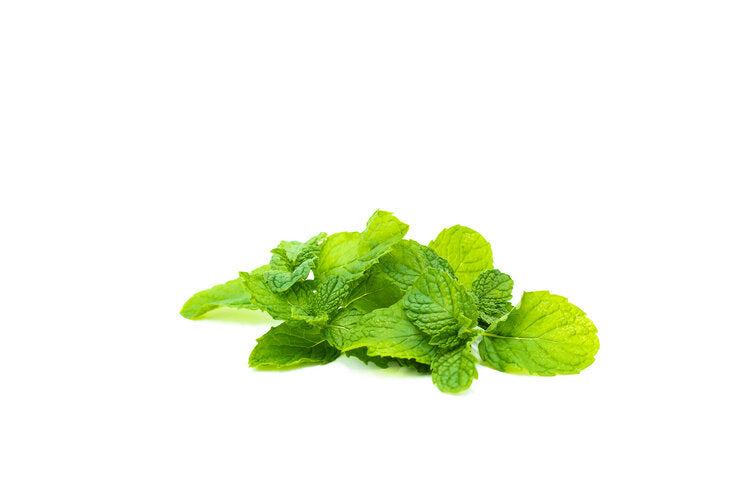 Mint