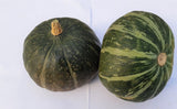 Squash