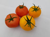 Mixed Beefsteak Tomatoes