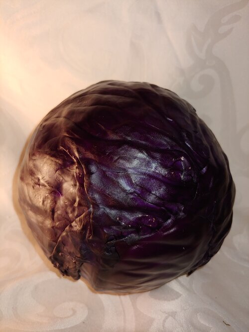 Cabbage