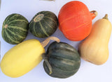 Squash